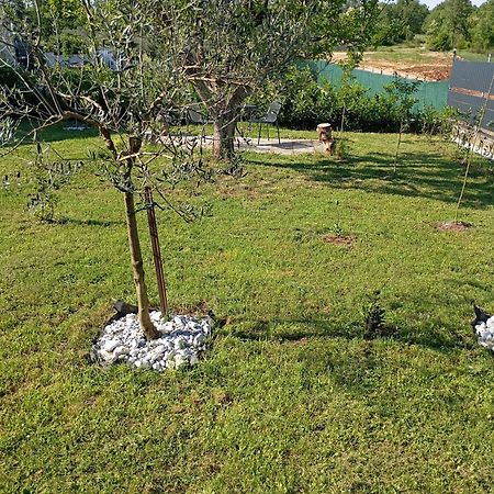 Apartman Jenny-Porec Kosinozici Экстерьер фото