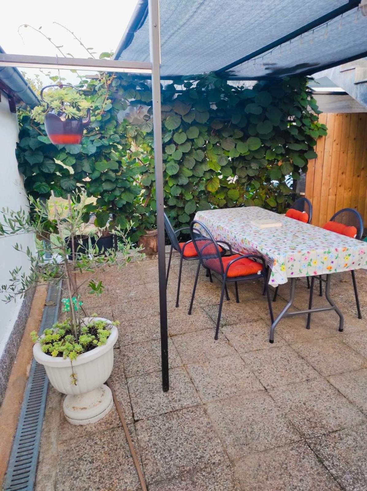 Apartman Jenny-Porec Kosinozici Экстерьер фото